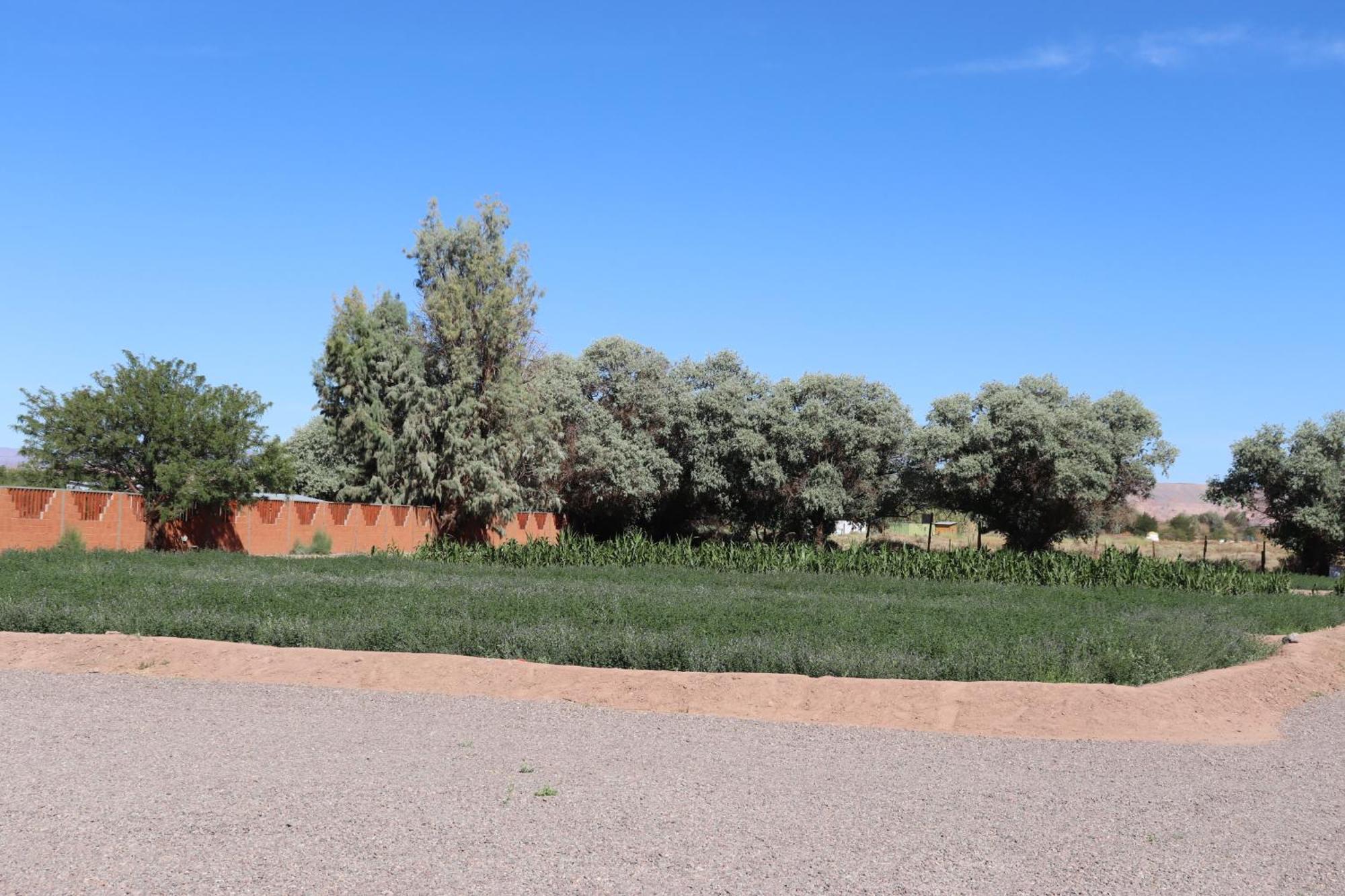 Atacamatoconar Bed & Breakfast Solor Dış mekan fotoğraf